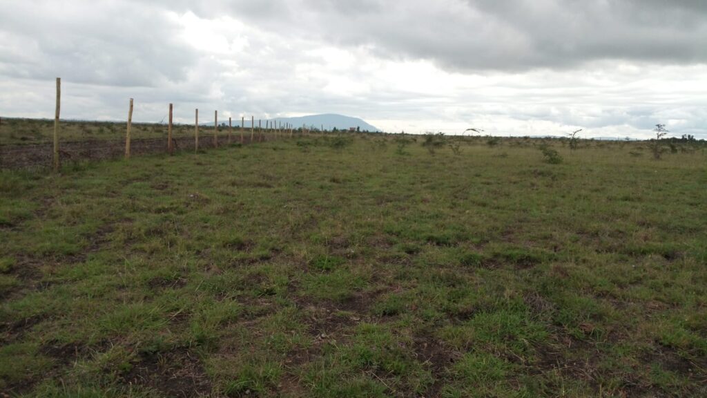 Sholinke,Kiserian, 50*100 @ 450,000. 5km from Kiserian-Isinya Road. Upto 12 months payment plan.