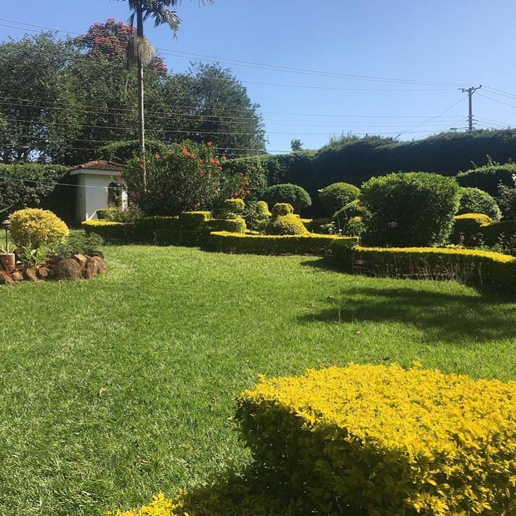 Sumptuous 5 Bedroom Villa in Kitusuru